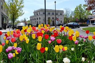 1133 Midland Ave, Yonkers, NY 10708 - Photo 16