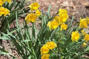 10 Upper Ferndale Rd, Liberty, NY 12754 - Photo 4