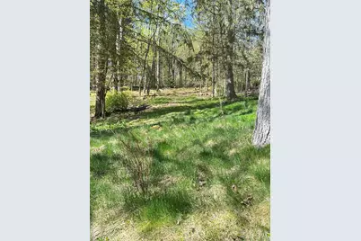 10 Upper Ferndale Road, Liberty, NY 12754 - Photo 28