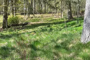 10 Upper Ferndale Rd, Liberty, NY 12754 - Photo 28