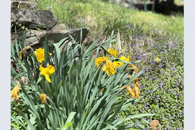 10 Upper Ferndale Road, Liberty, NY 12754 - Photo 30