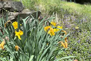 10 Upper Ferndale Rd, Liberty, NY 12754 - Photo 30