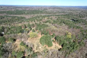 142 Old Tacy Rd, Bethel, NY 12783 - Photo 36