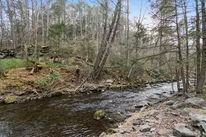 435 State Route 55, Eldred, NY 12732 - Photo 6