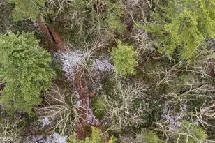 736 State Rte 55, Napanoch, NY 12458 - Photo 40