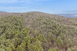 736 State Rte 55, Napanoch, NY 12458 - Photo 42