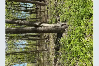 120 Floyd Ackert Road, Esopus, NY 12493 - Photo 2