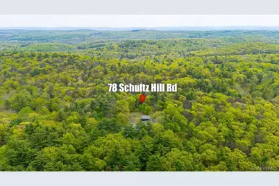 78 Schultz Hill Road, Rhinebeck, NY 12580 - Photo 48