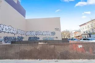 52 Buffalo Ave, Brooklyn, NY 11233 - Photo 1