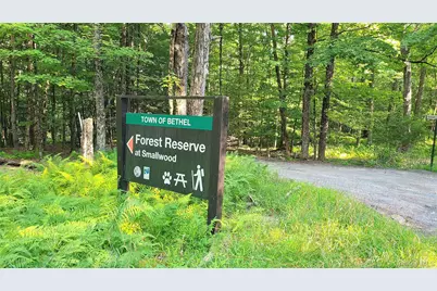 112 E Thompson Place, Smallwood, NY 12778 - Photo 34