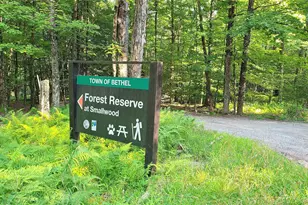 112 E Thompson Pl, Smallwood, NY 12778 - Photo 34