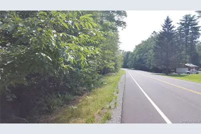 00 State Route 42, Grahamsville, NY 12740 - Photo 6