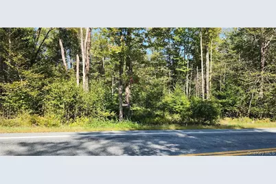 00 State Route 42, Grahamsville, NY 12740 - Photo 1