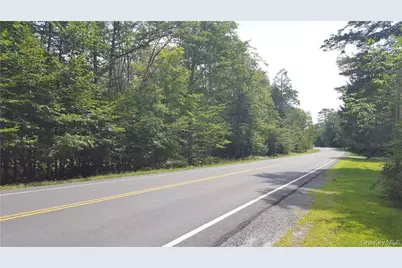 00 State Route 42, Grahamsville, NY 12740 - Photo 4