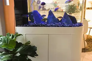 34-42 90th St, Jackson Heights, NY 11372 - Photo 8