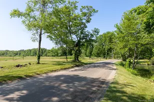 508 Woodstock Rd, Millbrook, NY 12545 - Photo 34