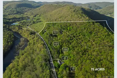 2182 Old Route 17, Roscoe, NY 12776 - Photo 6