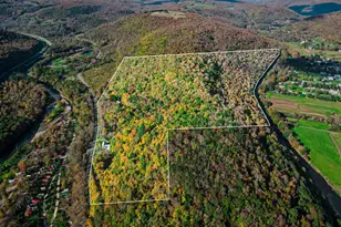 2182 Old Rte 17, Roscoe, NY 12776 - Photo 30