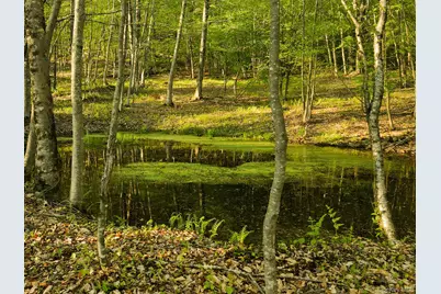 2182 Old Route 17, Roscoe, NY 12776 - Photo 28