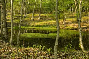 2182 Old Rte 17, Roscoe, NY 12776 - Photo 28