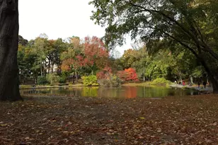 85-10 165th St, Jamaica, NY 11432 - Photo 24