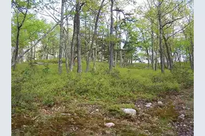 New Road, Wurtsboro, NY 12790 - Photo 4