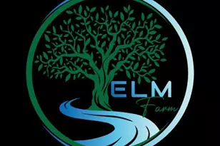 8 Black Gum Ct, Newburgh, NY 12550 - Photo 4