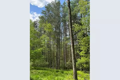 632 New Turnpike Road, Cochecton Center, NY 12726 - Photo 24