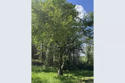 632 New Turnpike Road, Cochecton Center, NY 12726 - Photo 16