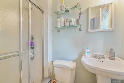 216 Birch Drive, New Hyde Park, NY 11040 - Photo 16