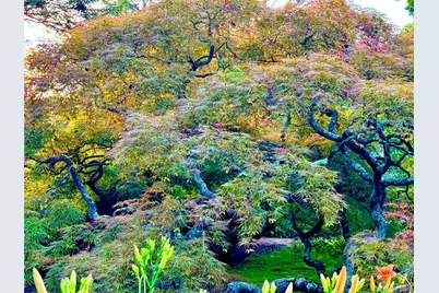 9 Oxford Road, White Plains, NY 10605 - Photo 48