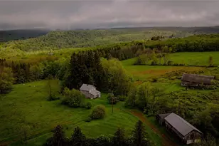 187 Hahn Rd, Callicoon Center, NY 12758 - Photo 8