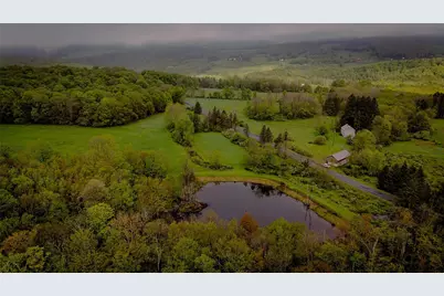 187 Hahn Road, Callicoon Center, NY 12758 - Photo 4