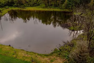 187 Hahn Rd, Callicoon Center, NY 12758 - Photo 6