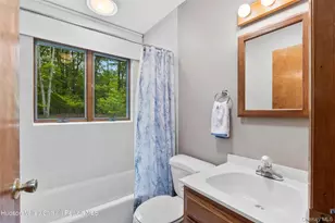 48 Deer Park Rd, Cairo, NY 12473 - Photo 22