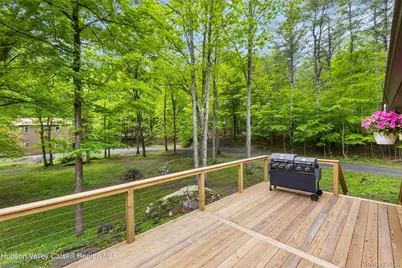 48 Deer Park Road, Cairo, NY 12473 - Photo 18