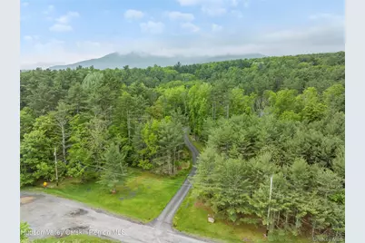 48 Deer Park Road, Cairo, NY 12473 - Photo 30