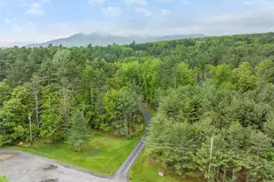 48 Deer Park Rd, Cairo, NY 12473 - Photo 30