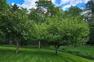 24 Buff Rd, Lake Huntington, NY 12726 - Photo 26