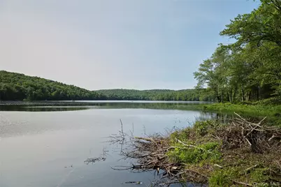 5697 State Route 52, Kenoza Lake, NY 12750 - Photo 30