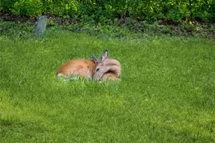 34 Woodland Ave, Poughkeepsie, NY 12603 - Photo 32