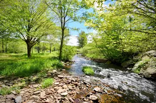 7 Bonnie Brook Rd, Roscoe, NY 12776 - Photo 2