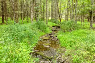 18 Jomar Ln, Olivebridge, NY 12461 - Photo 36