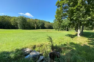 505-1 Pumpkin Ln, Clinton Corners, NY 12514 - Photo 10