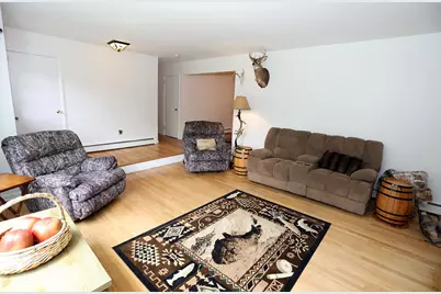 342 Bernas Road, Cochecton Center, NY 12726 - Photo 30