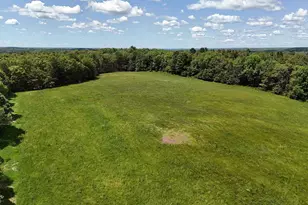 342 Bernas Rd, Cochecton Center, NY 12726 - Photo 6