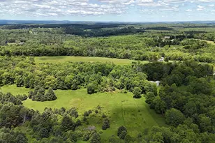 342 Bernas Rd, Cochecton Center, NY 12726 - Photo 14