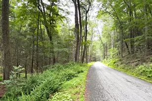 131 Old Plank Rd, Sparrow Bush, NY 12780 - Photo 10