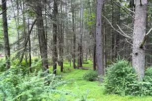 131 Old Plank Rd, Sparrow Bush, NY 12780 - Photo 6