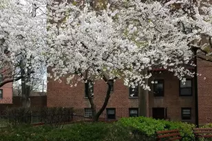 150-11 72nd Rd, Flushing, NY 11367 - Photo 14